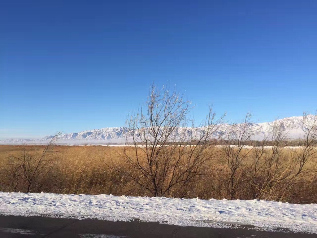 w88win�ŵ¡�(�й�)�ֻ������